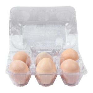 Organic Desi Eggs – Pack of 6 (Free-Range & Hormone-Free)