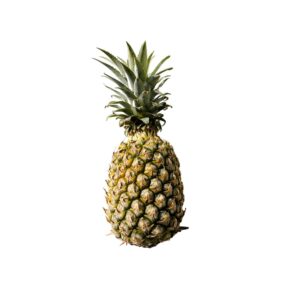 Pineapple - Big