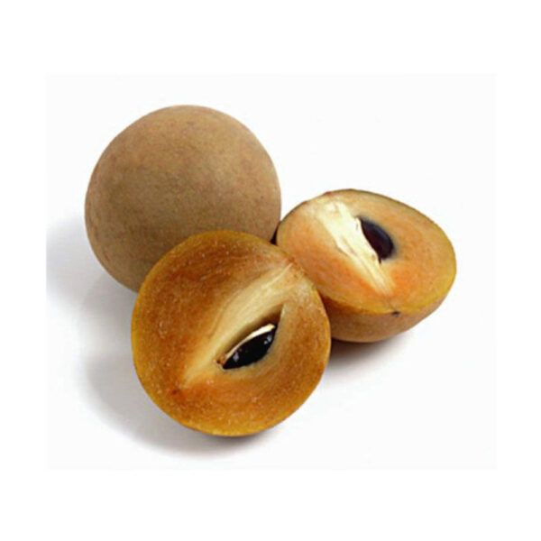 Chikoo  - Unripe