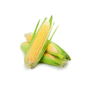 Corn/Bhutta (1pc)