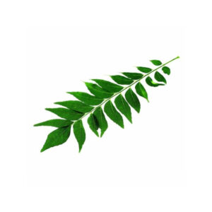 Curry Leaves