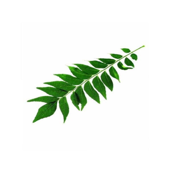 Curry Leaves
