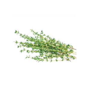 Thyme - 30 gm