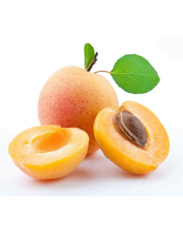 Apricot- Fresh