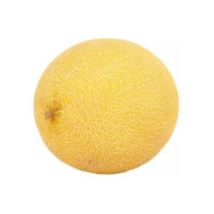Musk Melon