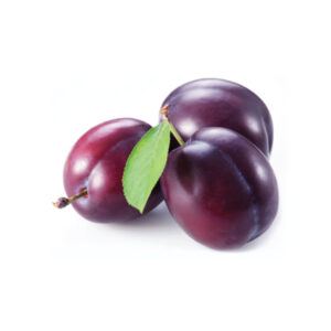 Plum - Gift Box