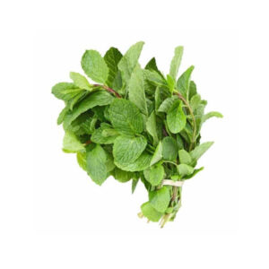 Pudina/Mint - (Bunch)
