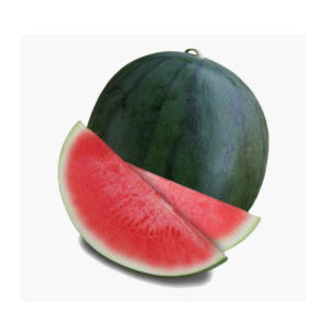 Watermelon -  Dark Green (1PC)
