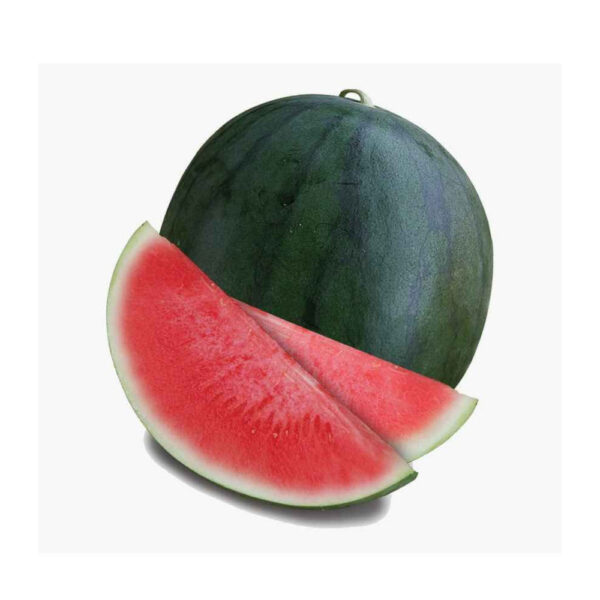 Watermelon -  Dark Green (1PC)